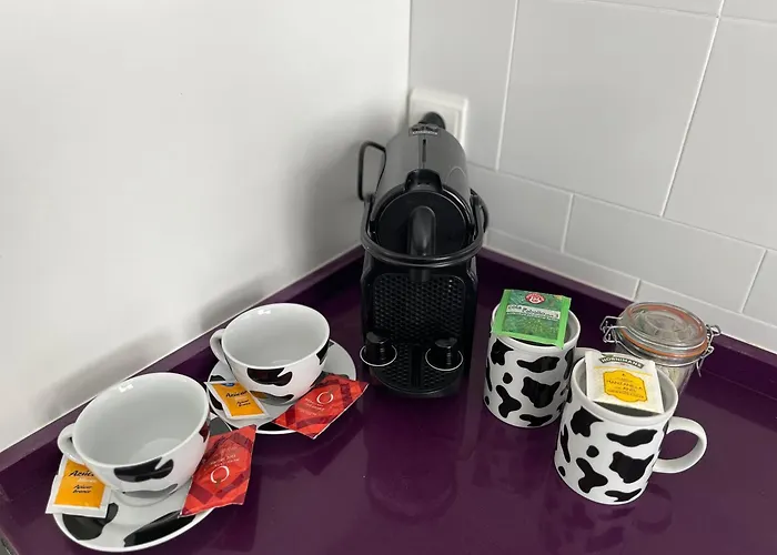 Conil Centro Mercurio Solo Familias